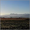 Octobre 07 &middot; Le Pic du Midi de Bigorre vu de la Plaine de Nay - Bord&egrave;res &middot; &copy; stockli
